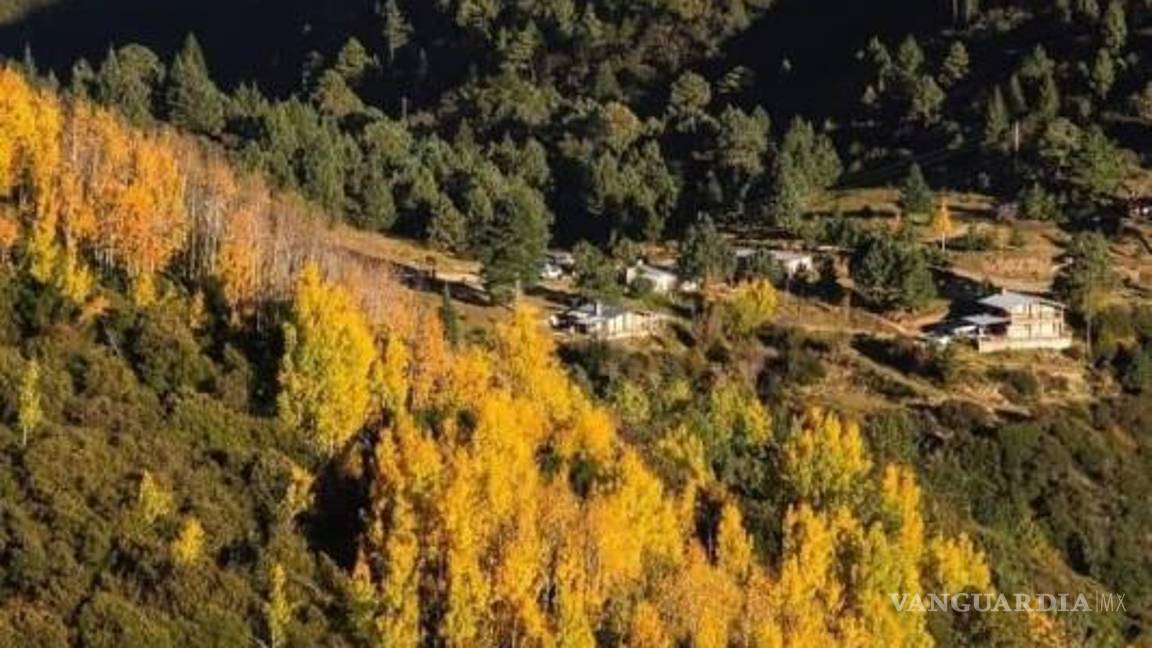 $!Excursionistas que transiten por zonas como Oyameles deben seguir nuevas recomendaciones y respetar los accesos permitidos para evitar sanciones.