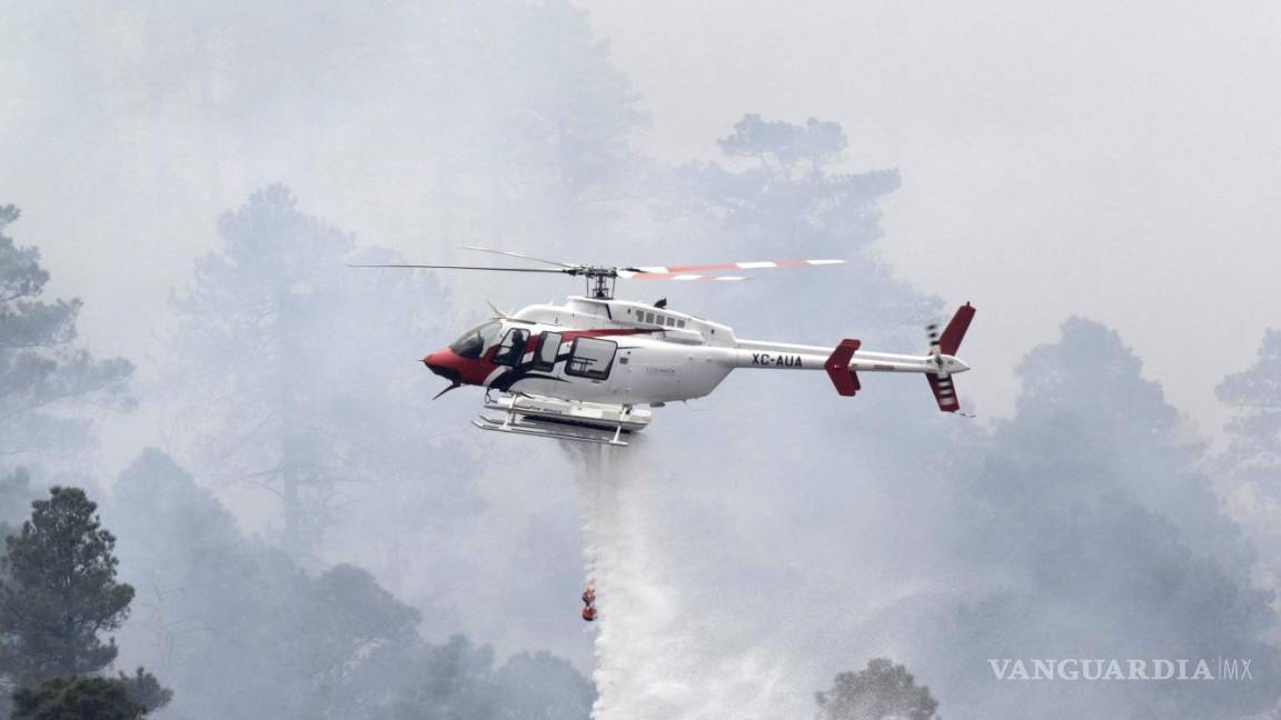 Incendios forestales; cada vez son más y sin recursos, aunque organizaciones ponen su ‘granito de arena’, hace falta más