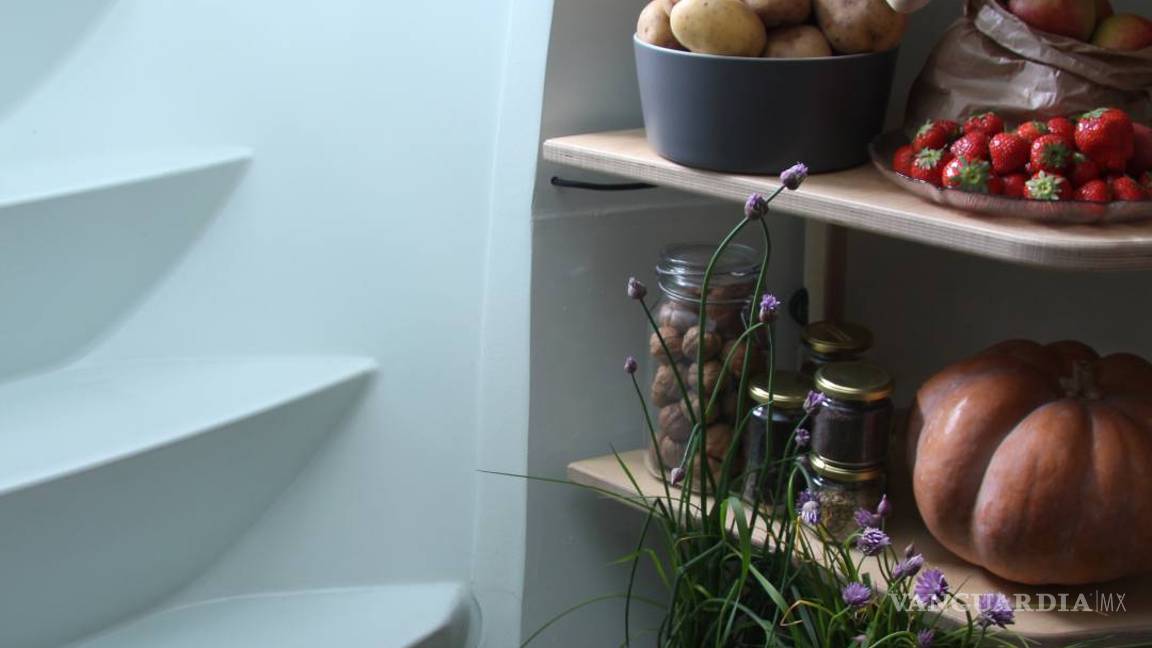 $!Groundfridge, una nevera bajo tierra