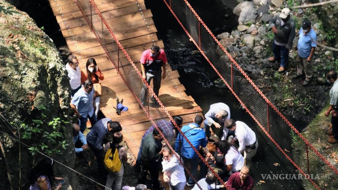 Cesan a cuatro funcionarios tras colapsar puente colgante