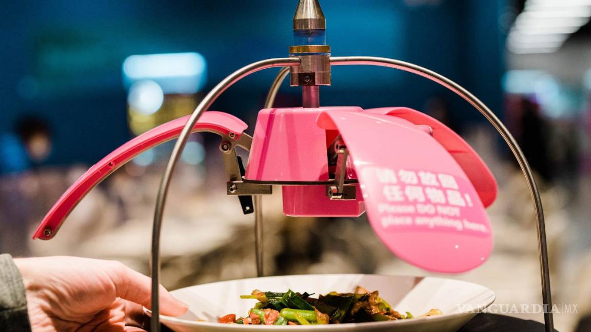 $!Un robot entrega los platillos para evitar el contacto entre las personas.