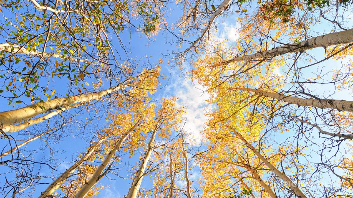 $!Presentarán paisajes naturales y lecturas en Las Delicias de mi General: La Efigenia