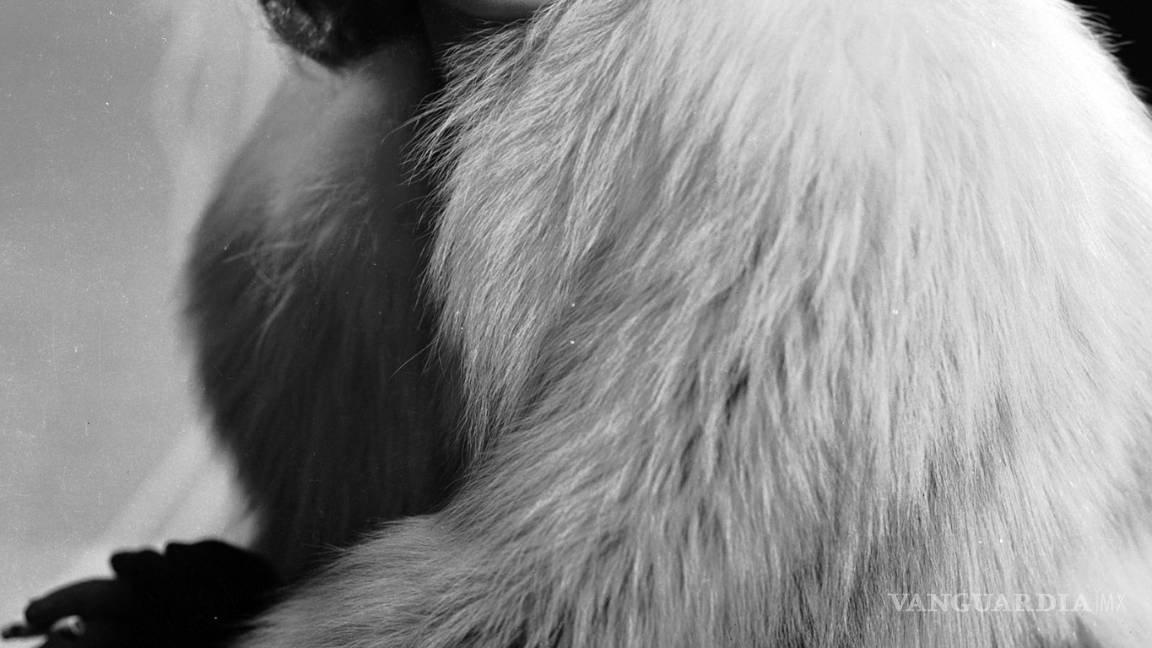 $!110 aniversario de la 'belleza diferente', Bette Davis