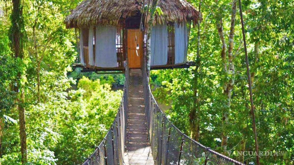 $!Estos son los hoteles más curiosos