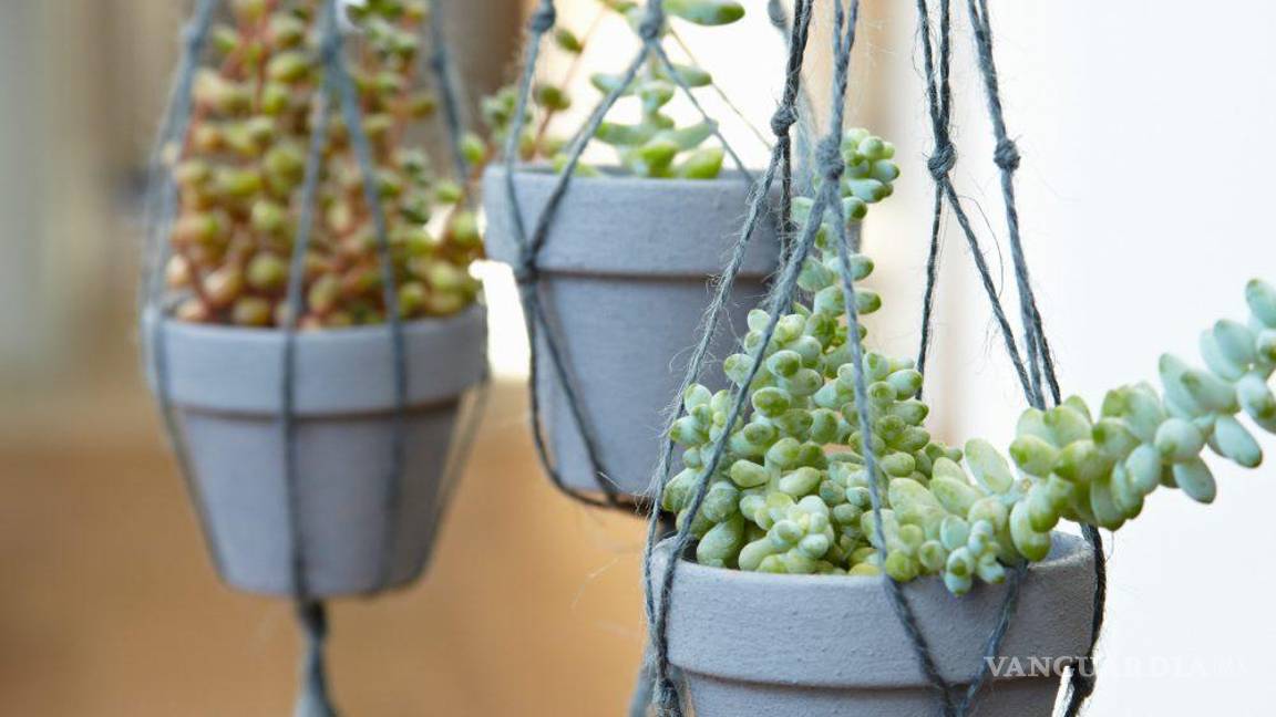 $!Algunos diseños colgantes permiten que pongas tus plantas donde más te guste con la posibilidad de que giren si corre el viento.