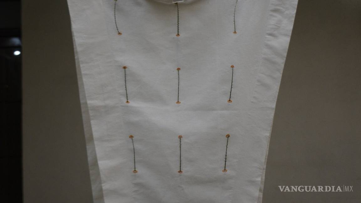 $!‘Apolatl’, el proyecto multidisciplinario que hila las tradiciones mexicanas