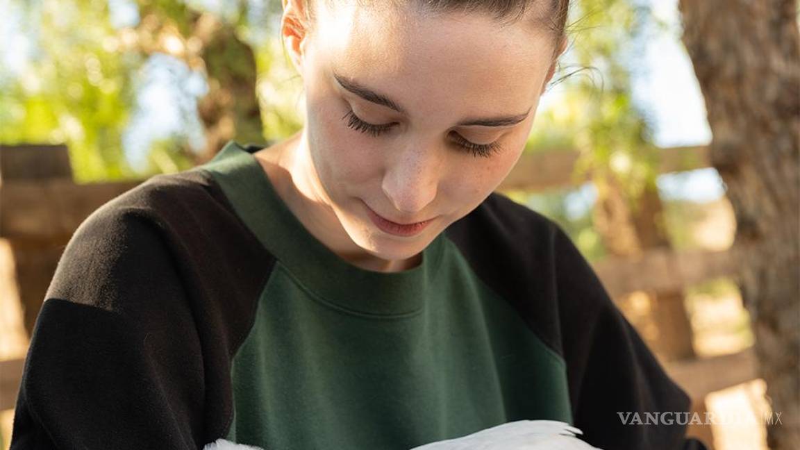 $!Junto con Farm Sanctuary, The Gentle Barn también está trabajando para rescatar pavos esta temporada.