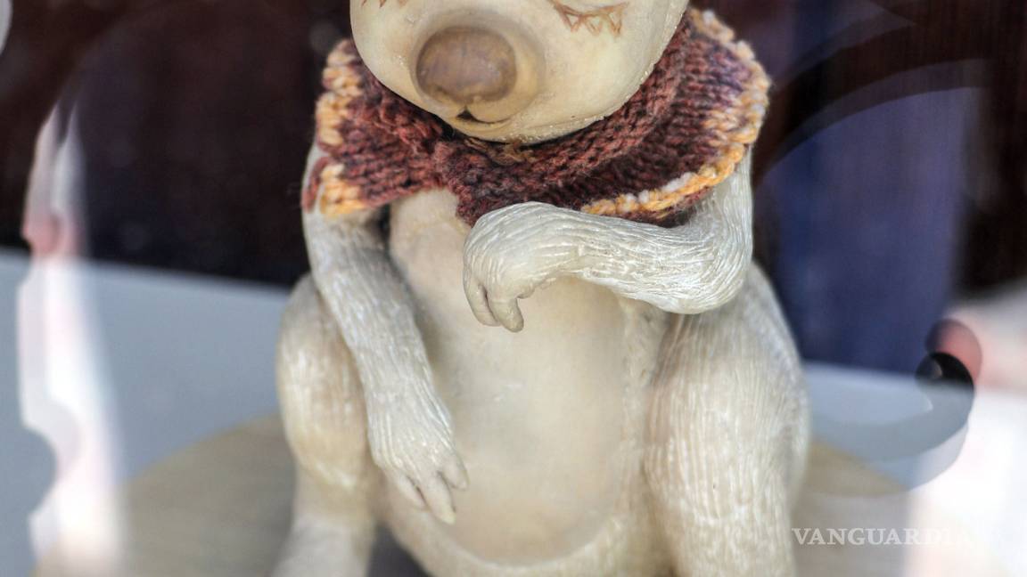 $!El imaginario de Cristina Rank en el Museo Rubén Herrera