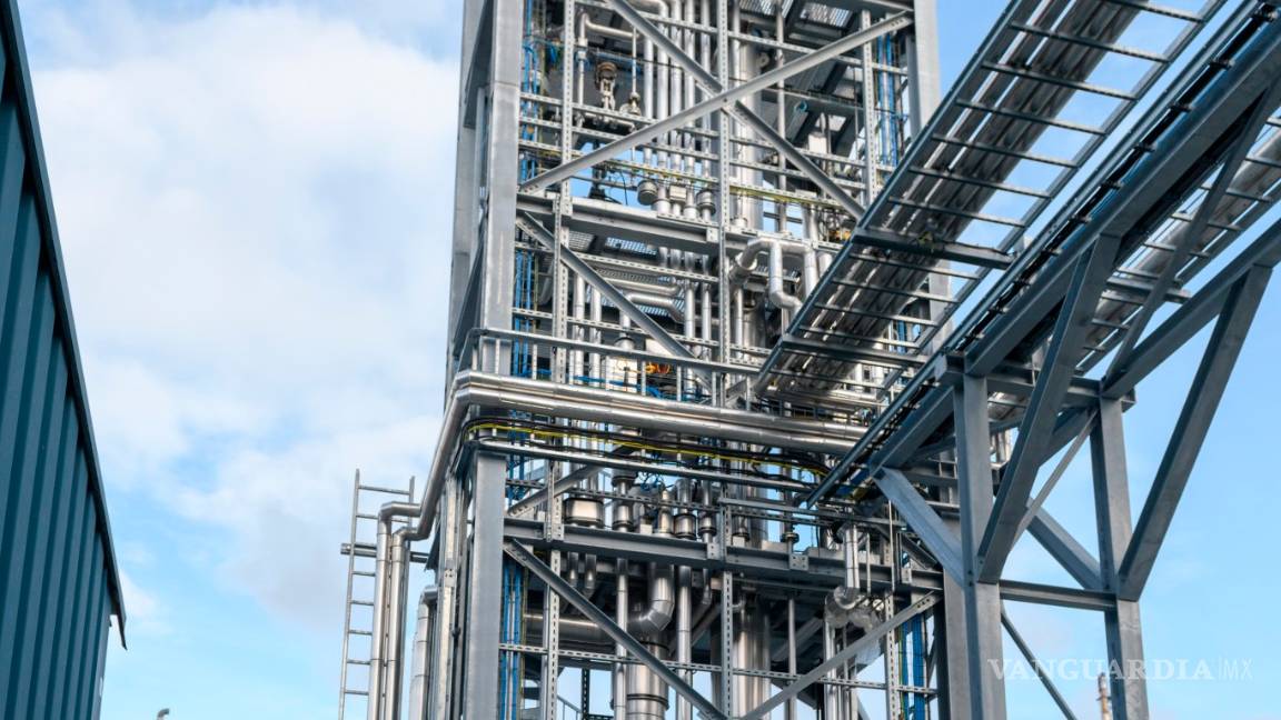 $!Llega el plástico vegetal que permitirá fabricar envases que se degradarán en tan solo un año