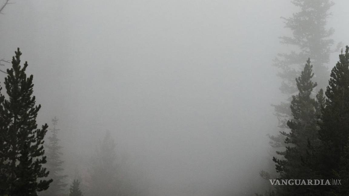 ¿Qué es y cómo se forma la neblina?