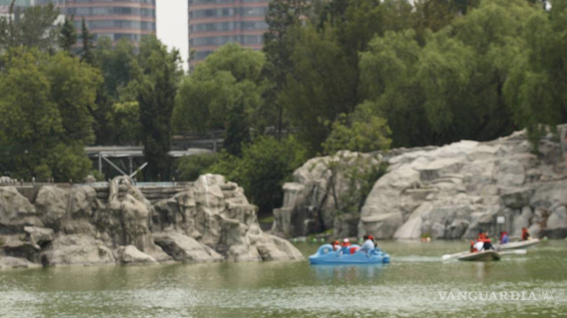 $!Bosque de Chapultepec es el mejor parque urbano del mundo
