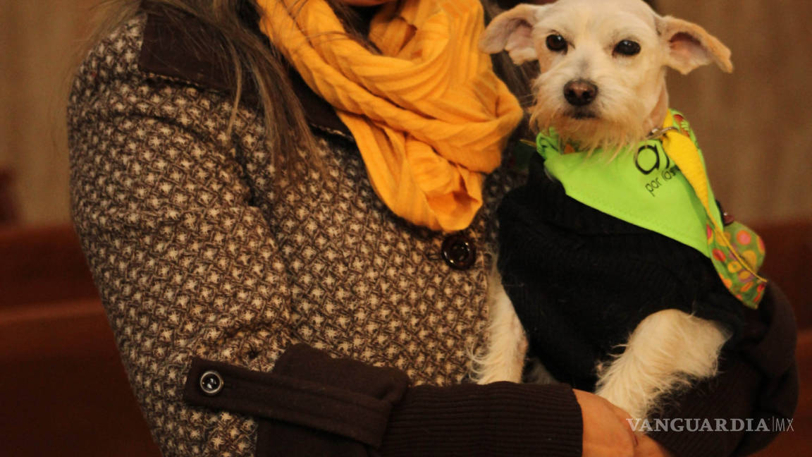 $!Celebran a San Antonio Abad llevando a mascotas a iglesia en Saltillo