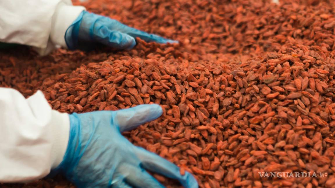 $!Estas son las 28 empresas que, junto al Gobierno Federal, acordaron impulsar productos ‘Hechos en México’