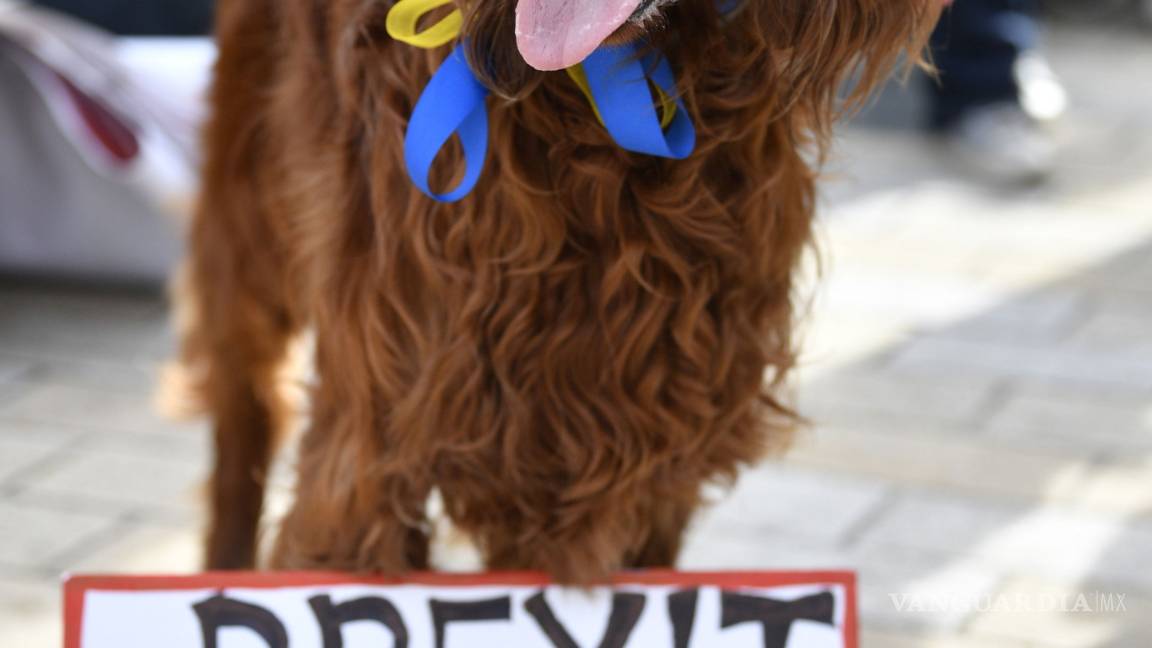 $!Cientos de perros ladran contra el "Brexit" en Londres