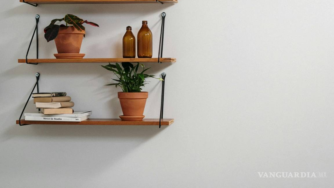 $!La presencia de elementos naturales en casa es fundamental para armonizar.