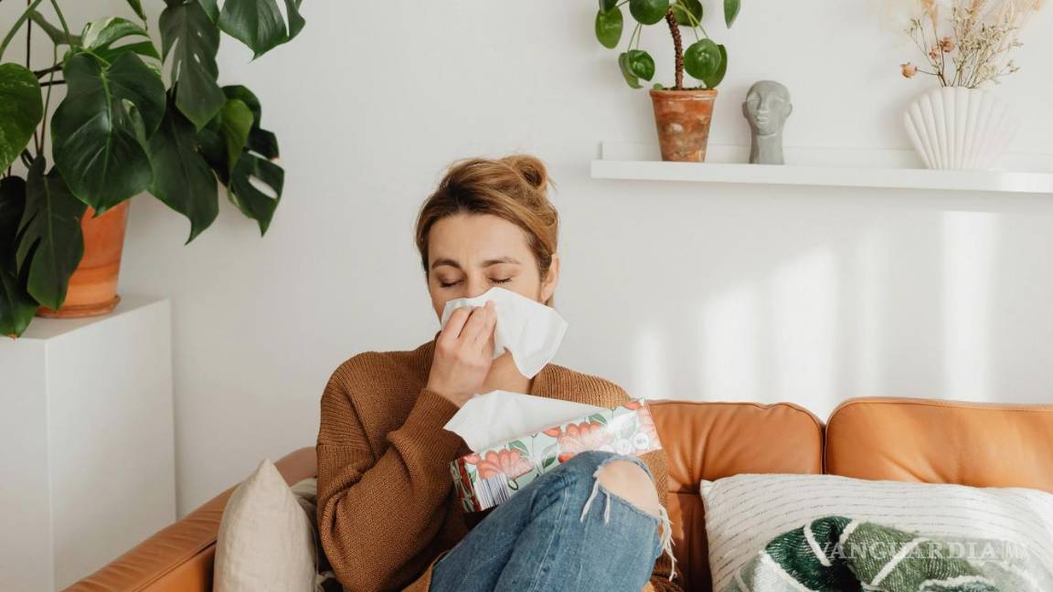 $!Las reacciones alérgicas pueden producirse en interiores.