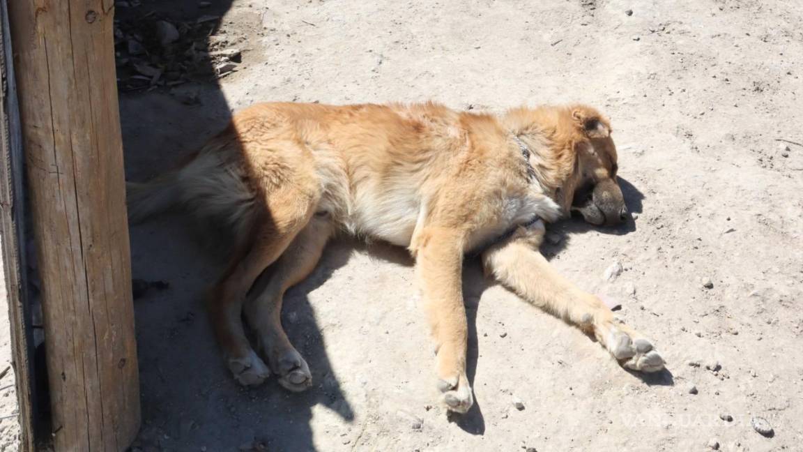 $!El problema continúa, aseguran, pese a que hace alrededor de seis meses se instaló la llave comunitaria.