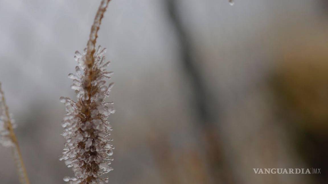 $!El hielo también se ha hecho presente debido a las bajas temperaturas y el viento.