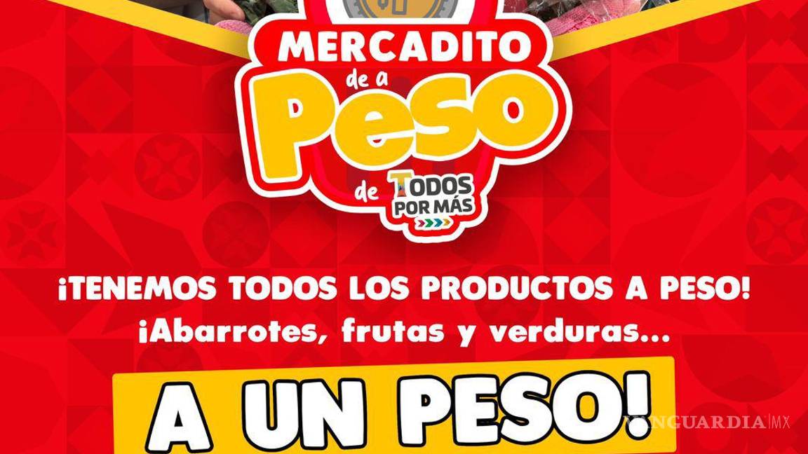 $!La iniciativa busca beneficiar al mayor número de familias, estimando un impacto directo en alrededor de mil 500 habitantes del municipio.