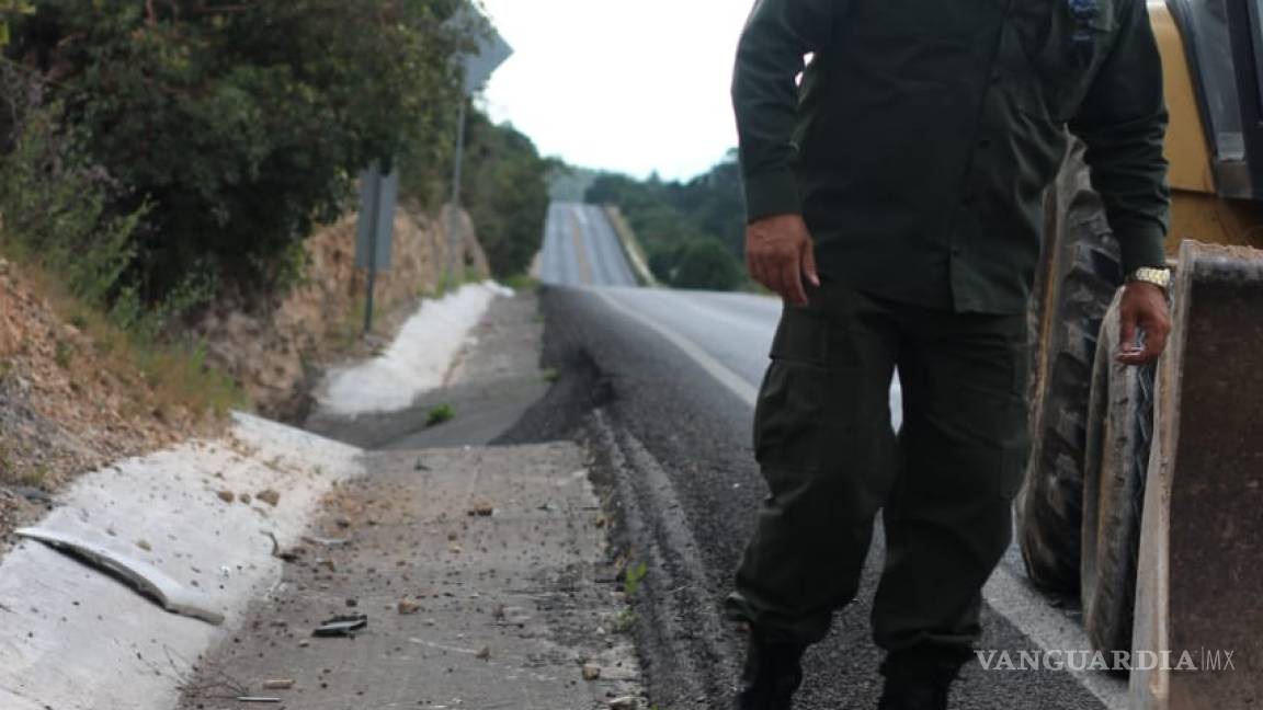 $!Localizan oso negro muerto sobre carretera 57; será usado con fines científicos