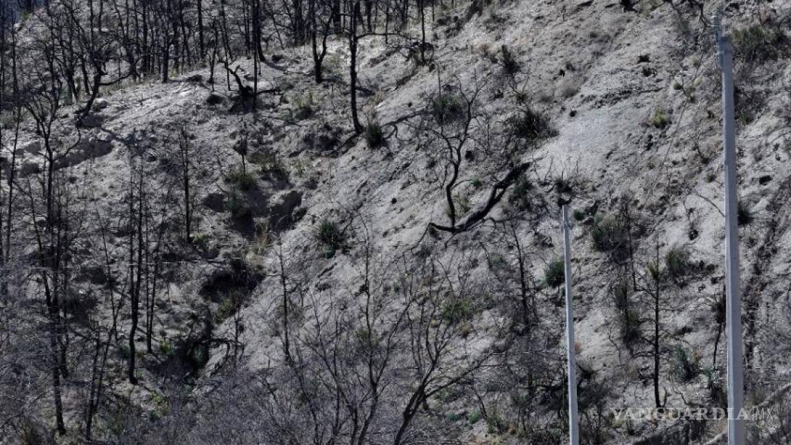 Incendios forestales; cada vez son más y sin recursos, aunque organizaciones ponen su ‘granito de arena’, hace falta más