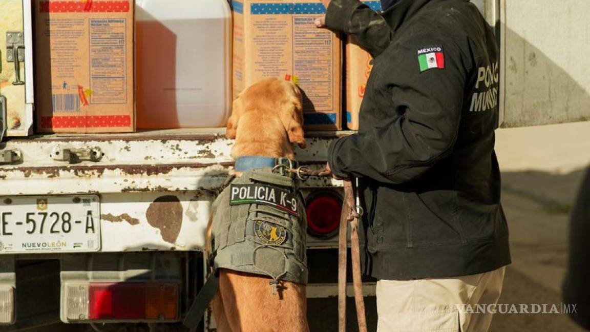 Saldo positivo de la Unidad Canina de la DSPM de Torreón: 31 aseguramientos durante 2024