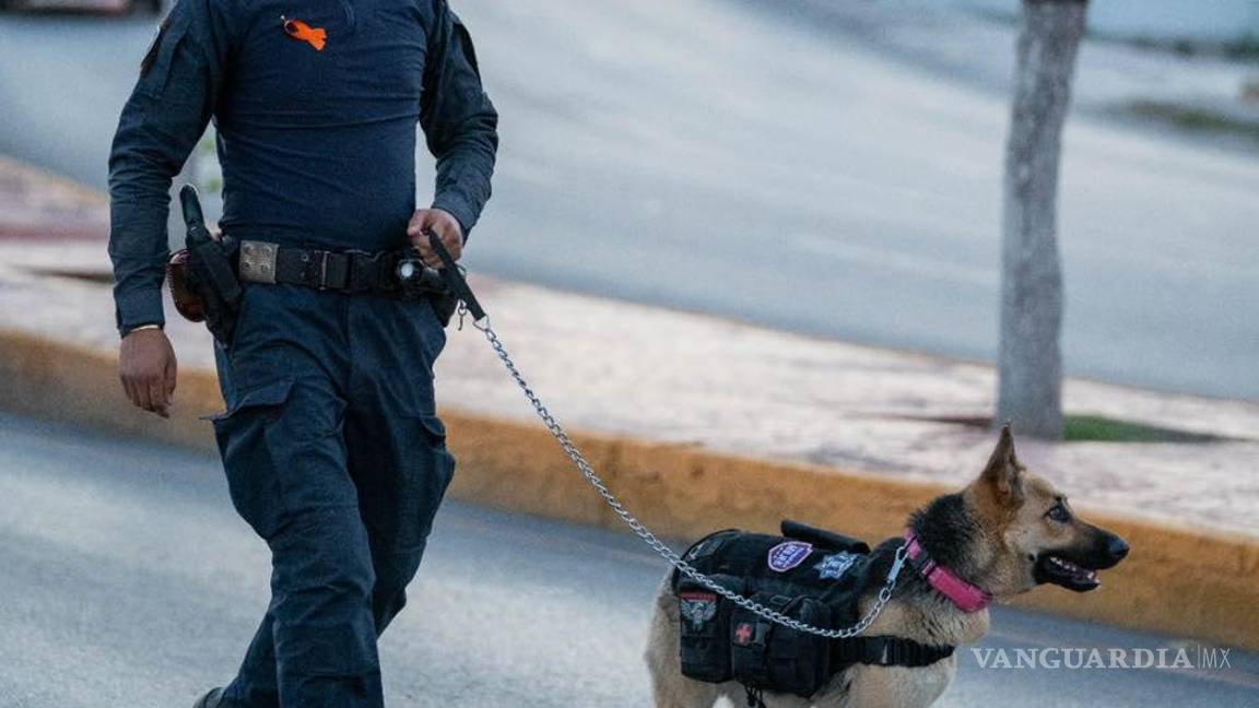 $!El evento fortaleció el compromiso con la esterilización y la adopción responsable.