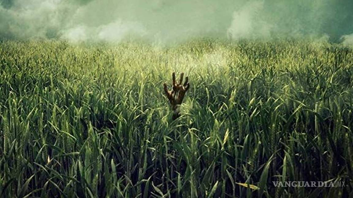 $!¿Qué otras novelas de Stephen King llegarán al cine?