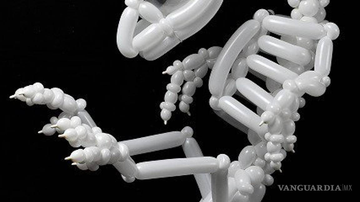 $!Este japonés eleva los globos a otro nivel