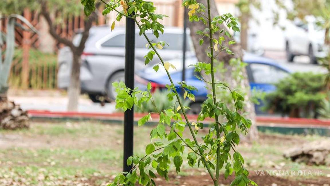 $!La colaboración entre empresas y autoridades municipales para rehabilitar y adoptar espacios públicos es una opción viable-.