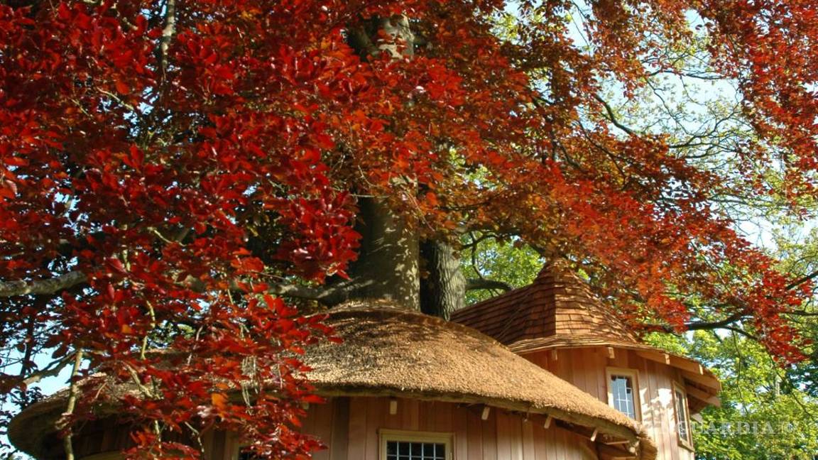 $!Viviendo en un "nido"