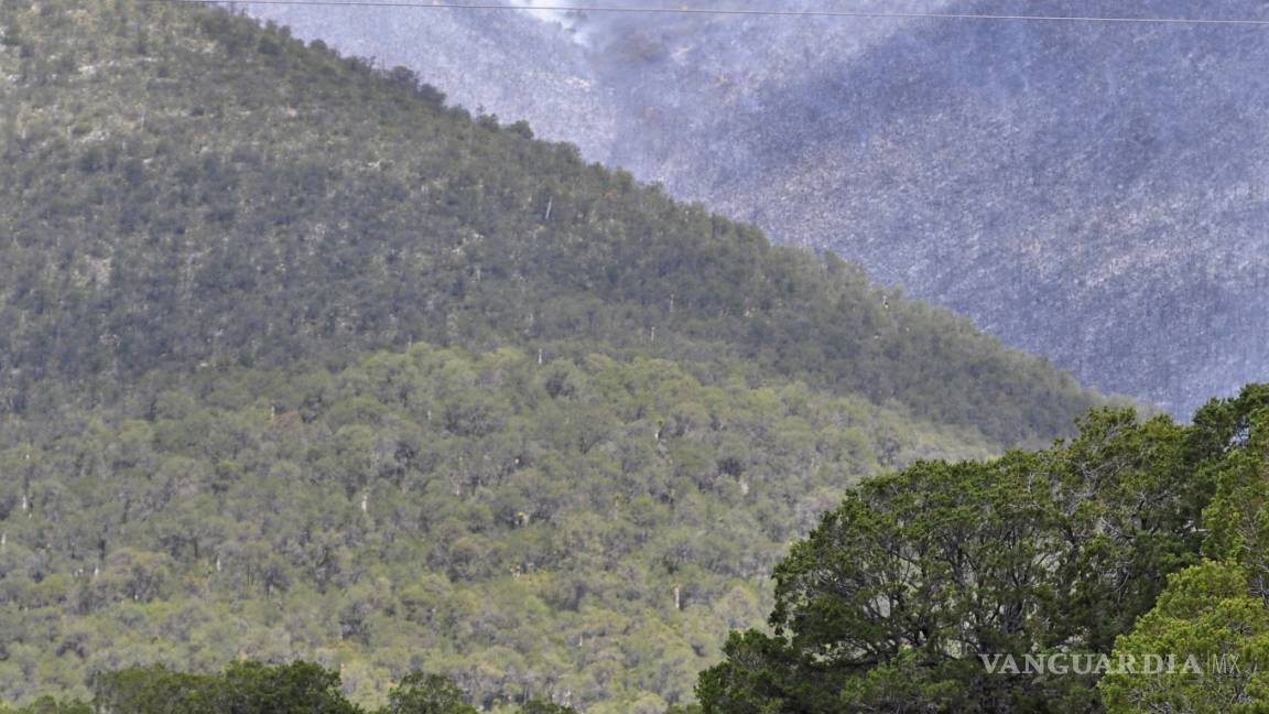 Pierde Coahuila 4 mil 485 hectáreas de arbolado adulto a causa de incendios forestales