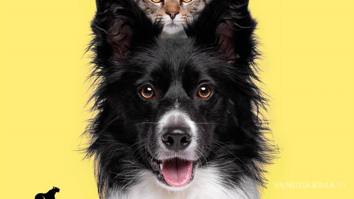 $!Portada del libro ‘Si pudieras hablar’.