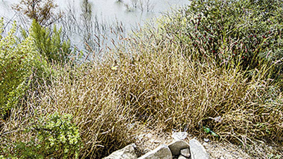 $!Lleno de basura y desechos; visitantes convierten en basurero la presa Palo Blanco