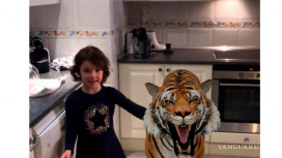 $!El truco de realidad aumentada de Google para ver ¡un tiburón o un tigre en tu casa!