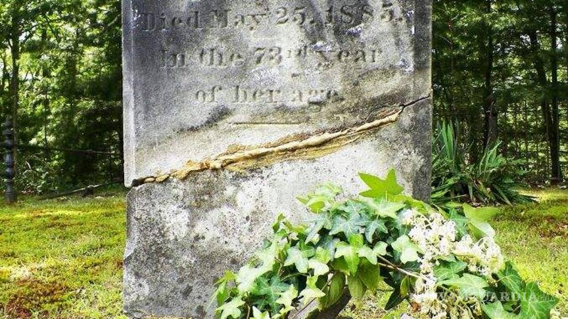 $!Además de Annabelle... qué otros aterradores objetos habitan en el Museo de los Warren (fotos)