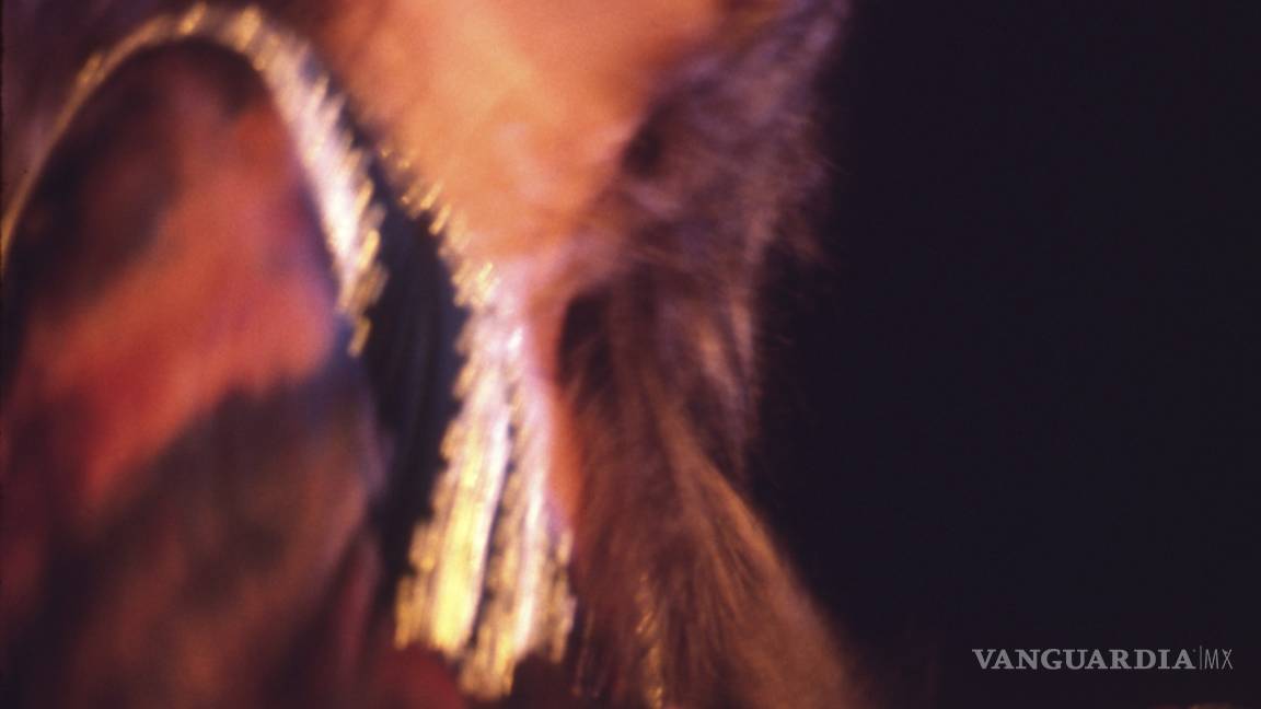 ¡Memorable!, Woodstock celebra sus 50 años con un box de 38 discos y 432 canciones