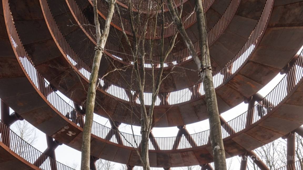 $!La Forest Tower les ofrece a los visitantes una nueva perspectiva del bosque escandinavo
