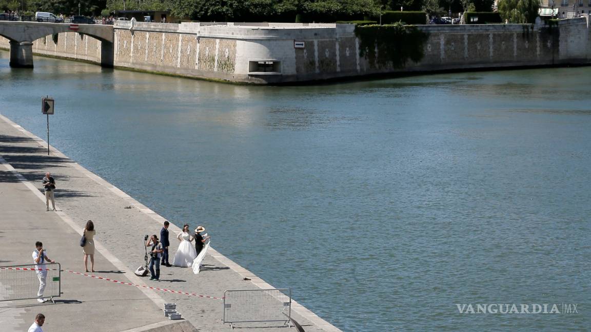 $!Encalla un "cachalote" en el borde del río Sena en París