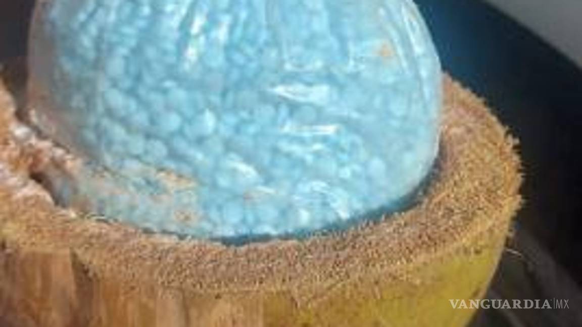 $!Encuentran fentanilo dentro de cocos de palmera en frontera de EU.