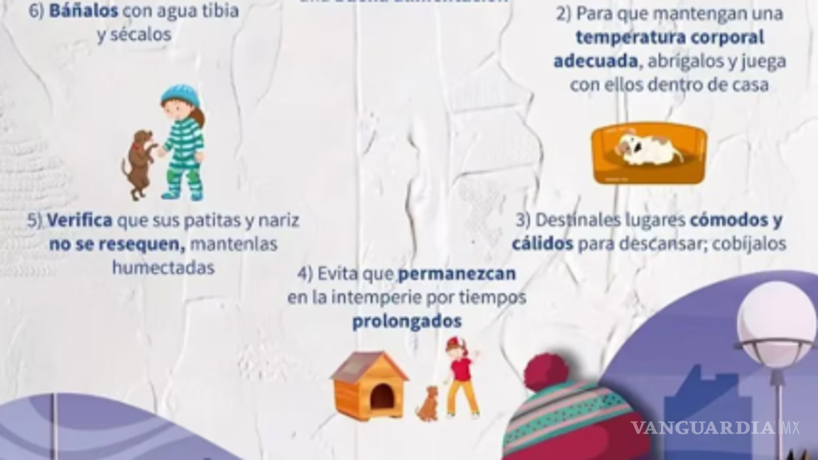 $!Invierno 2025: SSC recomienda estas acciones para proteger a tus mascotas del frío