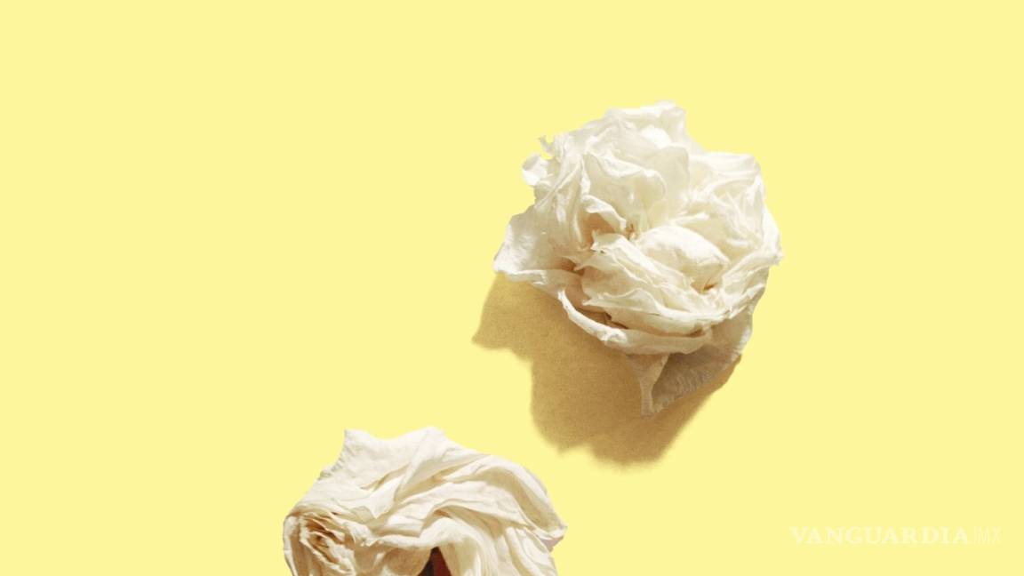 $!"Parece que fuera es primavera” de Conchita De Gregorio ya está en México