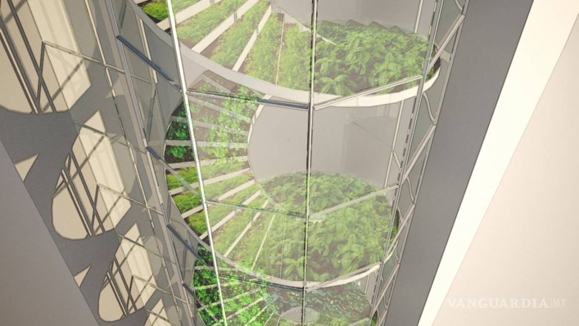 $!Agroedificios, huertos urbanos que alimentan a la población