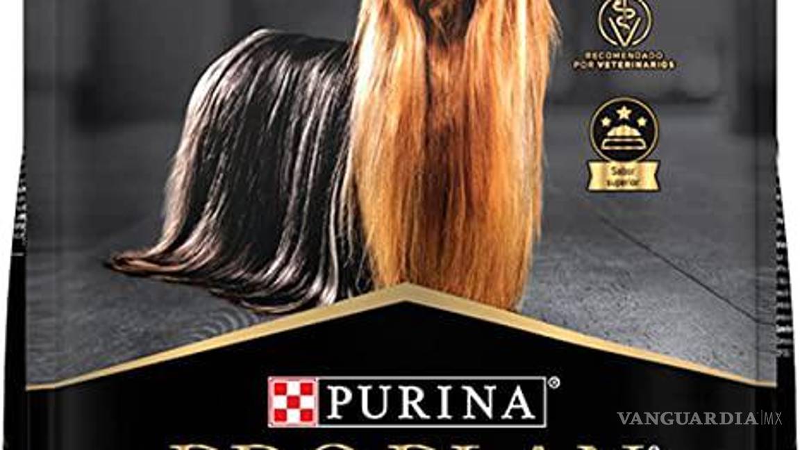 $!¿Pro Plan, Campeón o Dog Chow?... según Profeco, estas son las peores marcas de croquetas y las más dañinas para tu perro