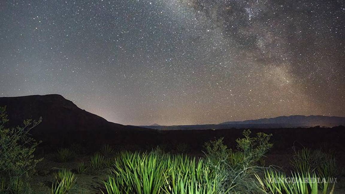 $!Comparte Daniel Bates la vitalidad del desierto en el MUDE