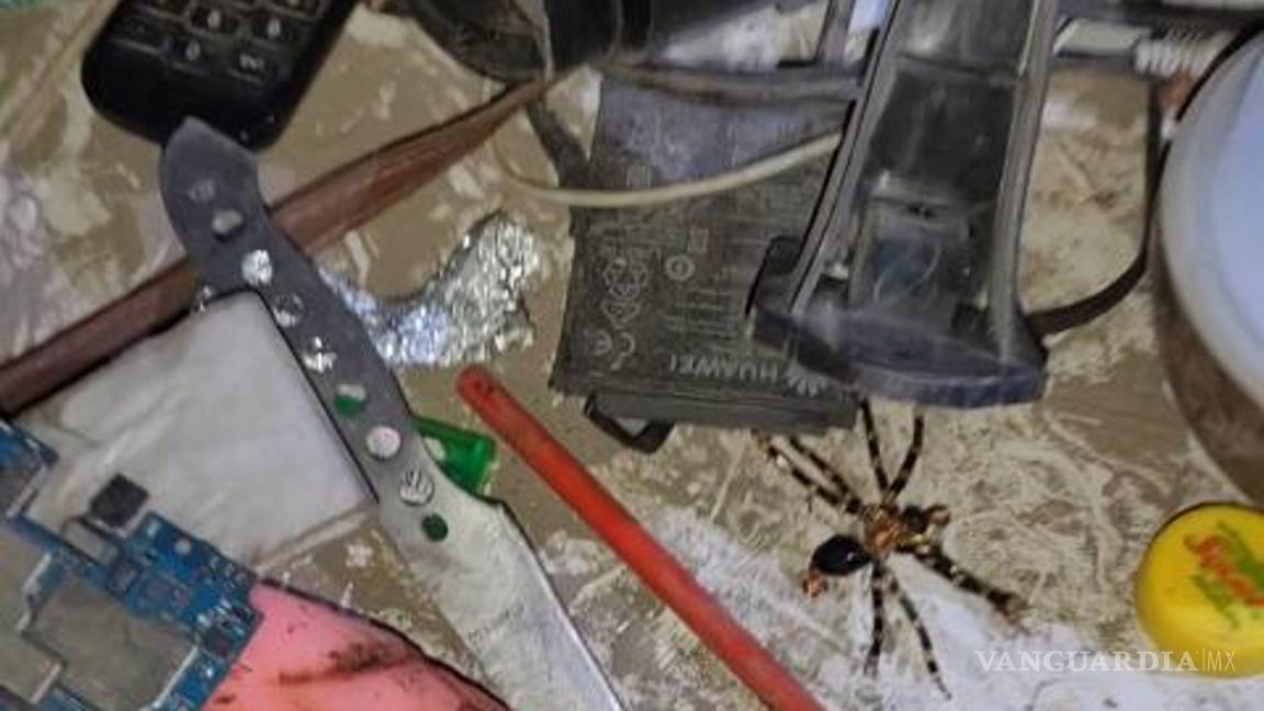 $!Autoridades de Saltillo destruyeron cuevas en Diana Laura y Nueva Jerusalén, utilizadas como escondites para armas hechizas y vigilancia.