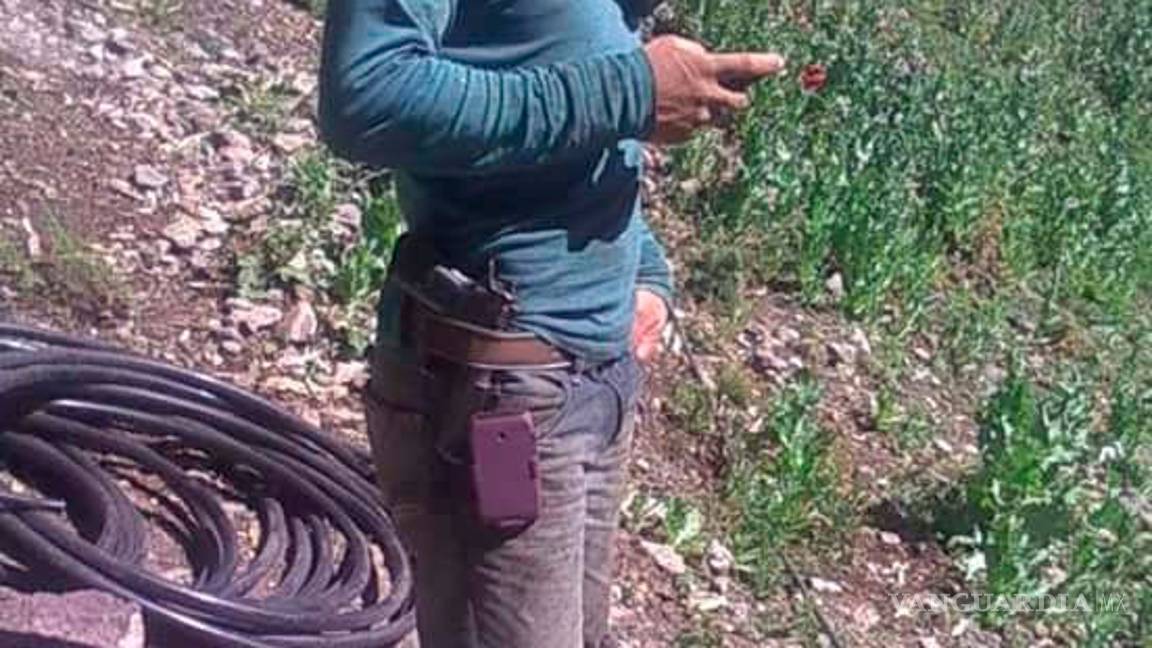 $!Desaparecidos sembraban droga, según su Facebook