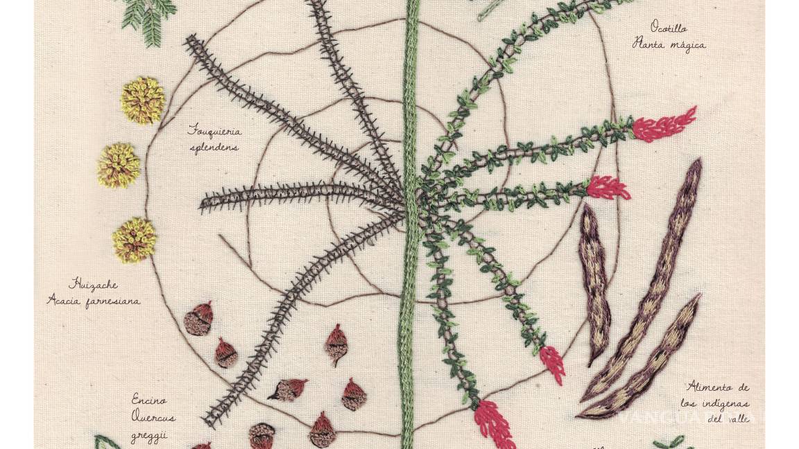 $!Las plantas nativas de Saltillo ilustran el póster (tejido) del aniversario 448 de la ciudad