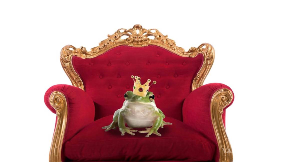 $!"Y colorín colorado... Tú" de David Safier, una oda a el inconformismo