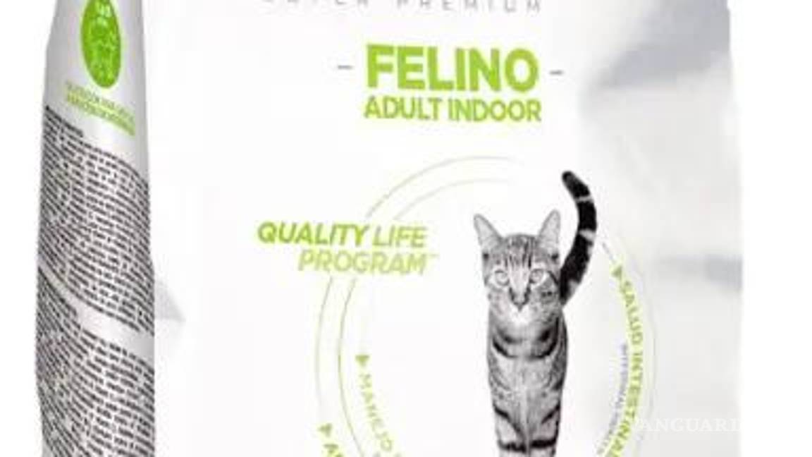 $!¿Hay gato encerrado en las croquetas para tu ‘michi’?... Según Profeco, estas son las marcas más engañosas y dañinas para tu mascota